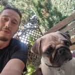Gerald Carlin - @gg.fauv - Instagram