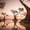 Gerald Carrillo - @gerald.carrillo3 - TikTok
