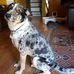 Gerald Casey - Facebook