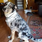 Gerald Casey - @geraldcasey57 - Instagram