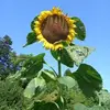 geraldcassidy770 - @geraldcassidy770 - TikTok
