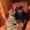 Gerald Charlotte Adkins - @gerald.charlotte - TikTok