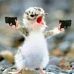 Gerald Chrispinus - Facebook