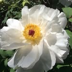 Geraldine Connelly - @geraldine.connelly.7 - Instagram