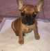 Gerry Conroy - Facebook