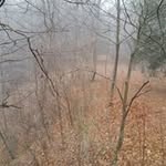 Gerald Coonrad - @geraldcoonrad - Instagram