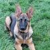 Gerald Cornwell - Facebook