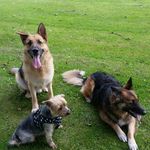 Geraldine Corrigan - @geraldinecorrigan6511 - Instagram