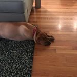 Geraldine Corrigan - @geraldine.corrigan.37 - Instagram