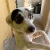 Gerald Cortez - @gerald.cortez63 - TikTok