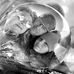 Gerald Kreiter - Facebook