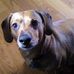 Gerald Cramer - Facebook