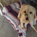 Gerald crenshaw - @workinorogress74 - Instagram