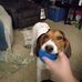 Gerald Crow - Facebook