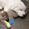 geraldcrowe569 - @geraldcrowe569 - TikTok