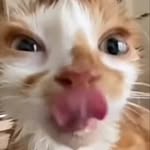 @gerald_.daily - Instagram