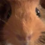 Gerald - @_daily_gerald_ - Instagram