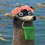 Gerald - @daily_pictures_of_gerald_kinda - Instagram