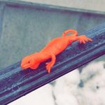 Gerald D.D - @daily.gerald - Instagram
