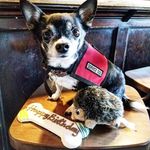 The Daily Gerald - @dailygeraldbfa - Instagram