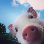 DrwnMrtnz - @darwingeraldmartinez - Instagram