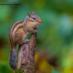 Gerald Davis Photography - @geralddavisphotography - Instagram