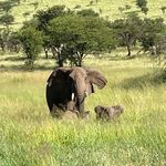 Gérald Dayer - @geralddayer - Instagram