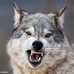 Gerald Dearing - Facebook
