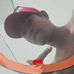Gerald Desio - Facebook