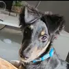 geraldDee - @geralddee95 - TikTok