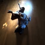 Danny Gatev - @gerald_dempsey_posey_111 - Instagram