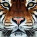 Gerald Denton - Facebook