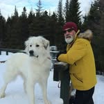 Gérald Dionne - @gerald.dionne.9 - Instagram
