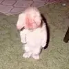 Gerald Dobbs - @geralddobbs_7216 - TikTok