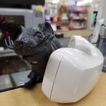 gerald🐀 - @gerald.the.dollar.tree.rat - Instagram
