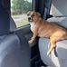 Jerry Easterling - Facebook
