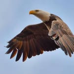 Gerald Elrod - @okieviewpoint - Instagram