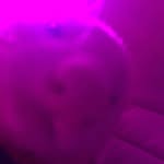 gerald - @geraldfinn2018 - Instagram
