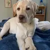 Frank Gerald - @frank.gerald8 - TikTok