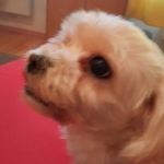 Gerald Frank - @gerald.frank.3576 - Instagram