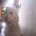 Gerry Frick - Facebook