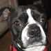 Geraldine Gerber - Facebook