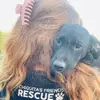 geraldine.gilliland - @geraldine.gilliland - TikTok