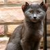 Jerry Gooch - Facebook