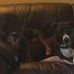 Gerald Grady - Facebook