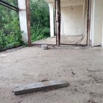 Gerald Gustafson - @gingerhugzplus - Instagram