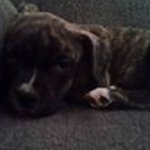 Gerald Haley - @gerald_haley - Instagram