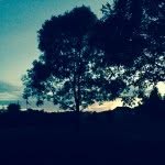 @geraldhamlin9877 - Instagram