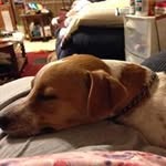 Geraldine Hamlin - @hamlingeraldine - Instagram