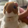 Gerald Hammy - @geraldhammyslays - TikTok